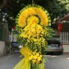 Biết Ơn Sâu Sắc HV-17
