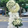 Cát Bụi Cuộc Đời HV-079