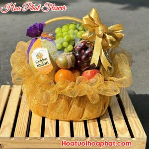 Giỏ Trái Cây Nhập Khẩu TC-16