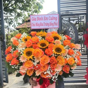 Ánh Dương GH-024