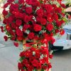 Đơm Hoa Kết Trái HKT-25