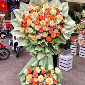 Chúc Mừng Khai Trương HKT-66