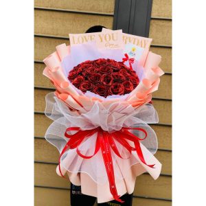 Tình Yêu Chớm Nở HS-031