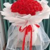 Sắc Đỏ Nồng Nàn HS-030