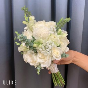 Tình Yêu Thuần Khiết HC-001