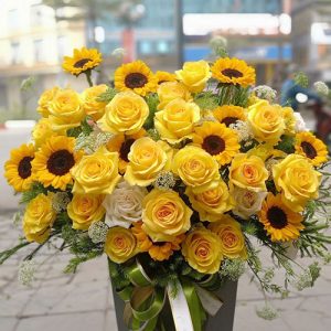 Ánh Nắng Rực Rỡ GH-053