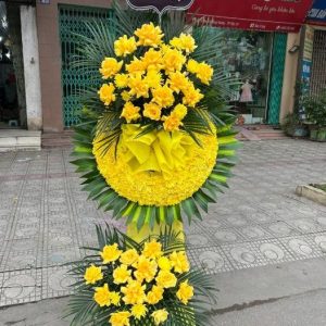 Tiếc Thương Vô Hạn HV-075
