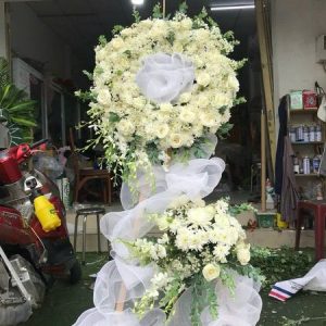 Vòng Luân Hồi HV-077