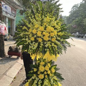 Vãng Sinh HV-098
