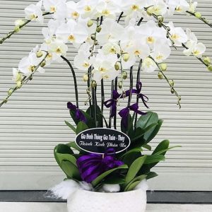 Sự Tôn Kính LHĐ-035