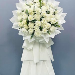Hoài Niệm HV-084