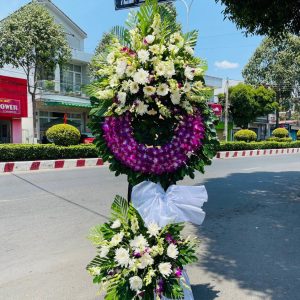 Luyến Tiếc Người Ra Đi HV-078