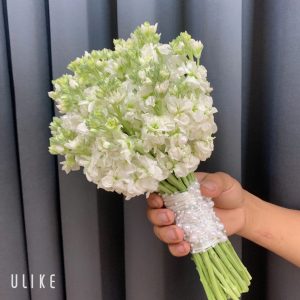 Hoa Cưới Cầm Tay Phi Yến HC-025